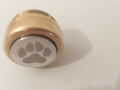 IMAG0031