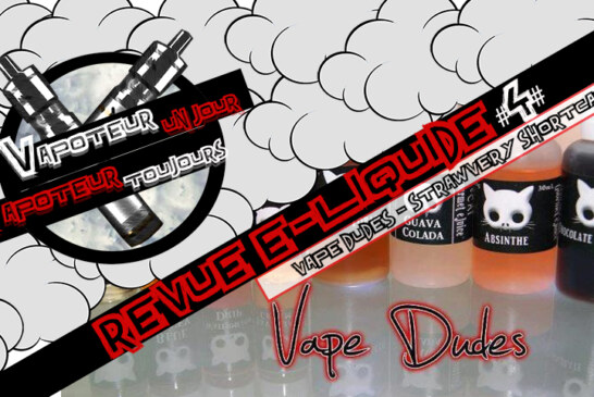 Revue E-Liquide – Straw-very Shortcake de Vape Dudes – #4