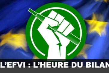 EFVI : Un bilan qui laisse songeur…