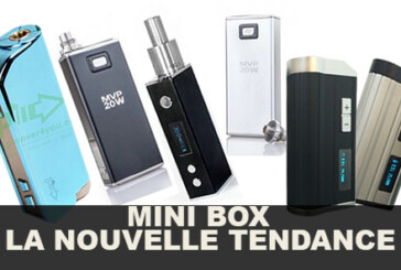 Mini Box : La nouvelle tendance !