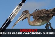URGENT : Un premier cas de « Vapoticide » sur Pélican !