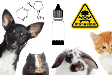 DOSSIER : E-liquides, nicotine, attention à vos animaux de compagnie !