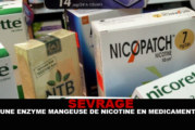 SEVRAGE : une enzyme « mangeuse » de nicotine en médicament ?