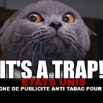 tabacanti
