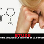 ETUDE : La nicotine améliore la mémoire et la concentration.