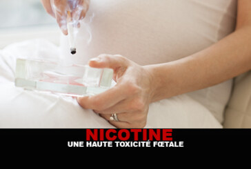 NICOTINE : Une haute toxicité fœtale