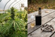 CANADA : La e-cigarette bridée, le cannabis légalisé !