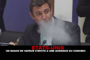 USA : Un nuage de vapeur s&rsquo;invite à une audience du congrès !