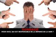 SONDAGE : Pour vous, qui est responsable de la défense de la vape ?