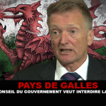 paysdegalle