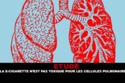 ÉTUDE : La e-cigarette n&rsquo;est pas toxique pour les cellules pulmonaires humaines.