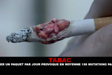 TABAC : Fumer un paquet par jour provoque en moyenne 150 mutations par an.