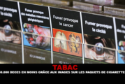 ÉTATS-UNIS : 650 000 décès en moins grâce aux images sur les paquets de cigarette ?