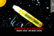REVUE : MANGO JUICE PAR BIG BANG JUICES