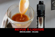 REVUE : BROCÉLIANDE (GAMME E-LIXIRS) PAR SOLANA