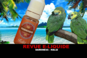 REVUE : DARKNESS (GAMME SIXTIES) PAR KELIZ
