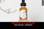 REVUE : INTO THE WILD (GAMME E-VOYAGES) PAR VAPONAUTE