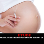 ÉTUDE : Le tabac fragilise les reins de l&rsquo;enfant durant la grossesse.