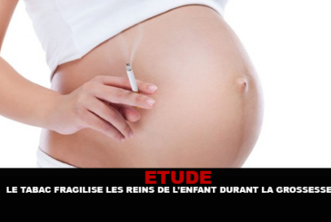 ÉTUDE : Le tabac fragilise les reins de l&rsquo;enfant durant la grossesse.