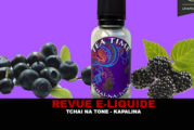 REVUE : TCHAÏ NA TONE (GAME TEA TIME) PAR KAPALINA