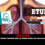 etudepast