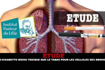 ÉTUDE : La e-cigarette moins toxique que le tabac pour les cellules des bronches