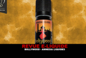 REVUE : BOLLYWOOD PAR AMNESIA LIQUIDES