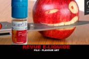 REVUE : FUJI PAR FLAVOUR ART