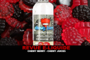 REVUE : CHEWY BERRY PAR CHEWY JUICES