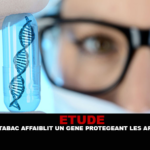 ÉTUDE : Le tabac affaiblit un gène protégeant les artères.