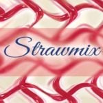 REVUE : STRAWMIX PAR E-CHEF