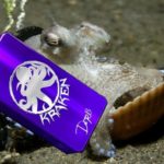 kraken-par-chalet-mfg-1243x728