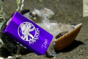 REVUE : KRAKEN PAR CHALET MFG