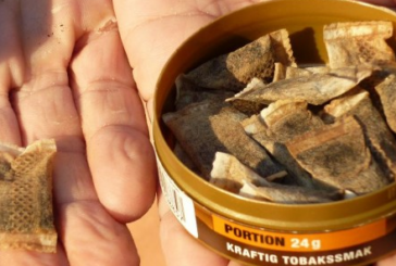 SANTE : Une recherche présente le Snus comme 95% moins nocif que la cigarette.