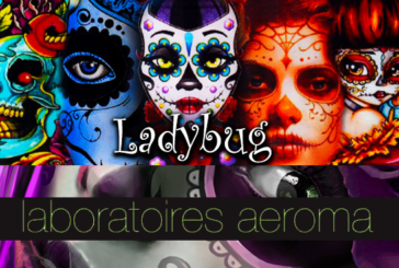 DROIT : La marque « Ladybug » victime de vol de propriété intellectuelle ?