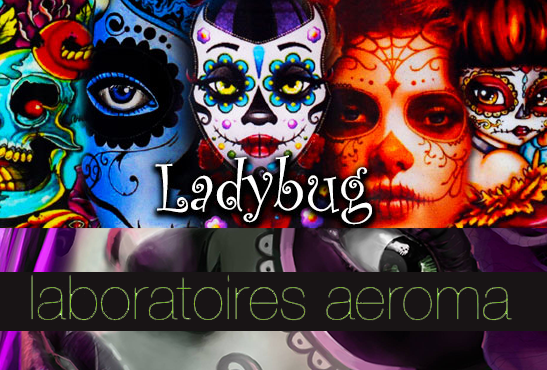 DROIT : La marque « Ladybug » victime de vol de propriété intellectuelle ?