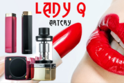 INFO BATCH : Lady Q (Artery)