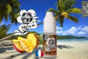 REVUE : MANGANAS (GAMME REBEL) PAR FLAVOUR POWER
