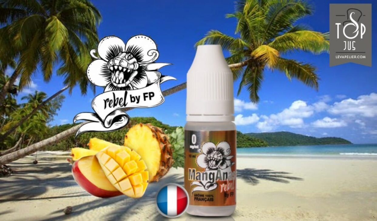 REVUE : MANGANAS (GAMME REBEL) PAR FLAVOUR POWER