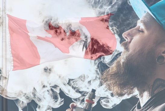 CANADA : Les produits sans fumée pourraient réduire le fardeau.