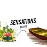 REVUE : JAUNE ( GAMME SENSATIONS ) PAR LE VAPOTEUR BRETON