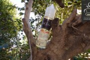 REVUE : MASTER SAUCE PAR VAPOR JUNKIE