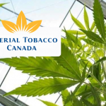 CANADA : Impérial Tobacco demande une équité entre tabac et cannabis.