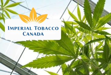 CANADA : Impérial Tobacco demande une équité entre tabac et cannabis.