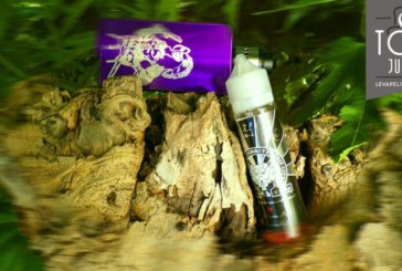 REVUE : MOO MOONI PAR OHMBOYZ