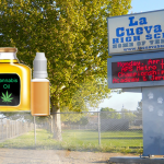 ETATS-UNIS : Nicotine ou cannabis ? Difficile à déterminer selon une école !