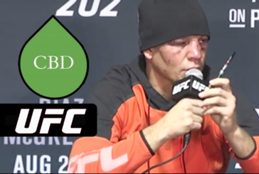 SPORT : L&rsquo;usage de la CBD autorisé pour les combattants en UFC.