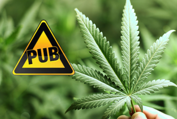 CANADA : De la publicité pour le cannabis mais pas pour le vapotage ?