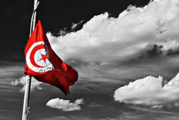 TUNISIE : Des fermetures de boutiques d&rsquo;e-cigarettes suite à un défaut d&rsquo;autorisation.