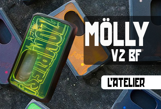 INFO BATCH : Mölly v2 BF (L&rsquo;Atelier)